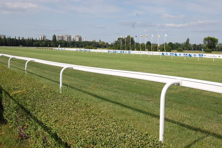 Gala Derby. Przygotowania do najważniejszej gonitwy sezonu na Służewcu